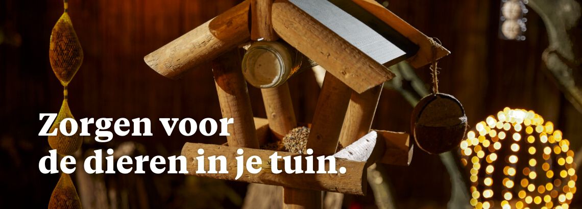 [paste advice page name here]